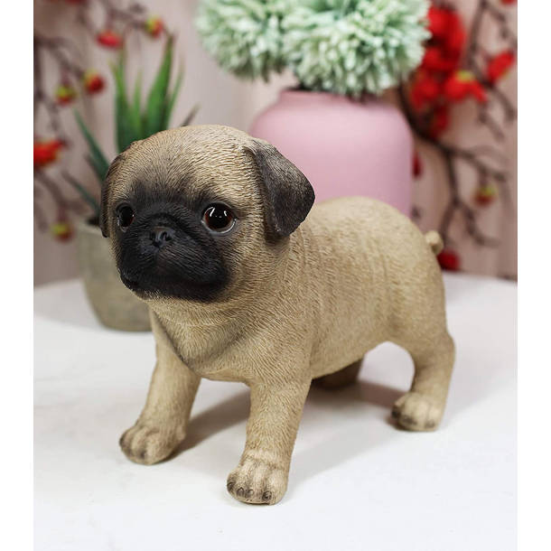 Hi-Line Gift Ltd. Teacup Pug Puppy Statue & Reviews - Wayfair Canada